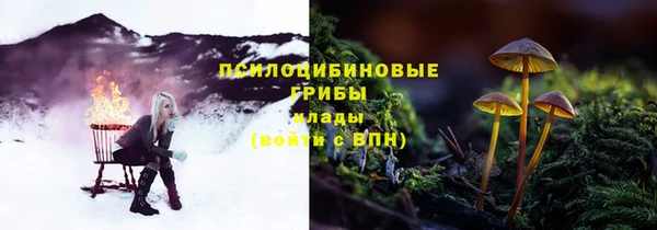 MDMA Сясьстрой