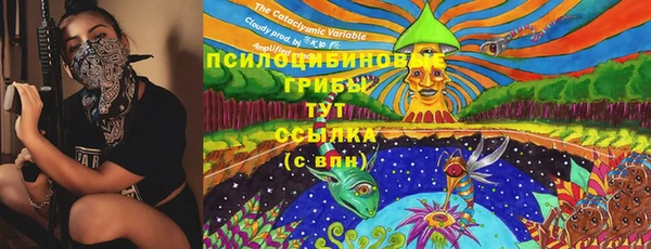 эйфоретик Тавда